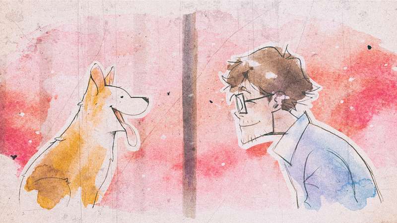 我的小柯基-My Little Puppy 游戏截图