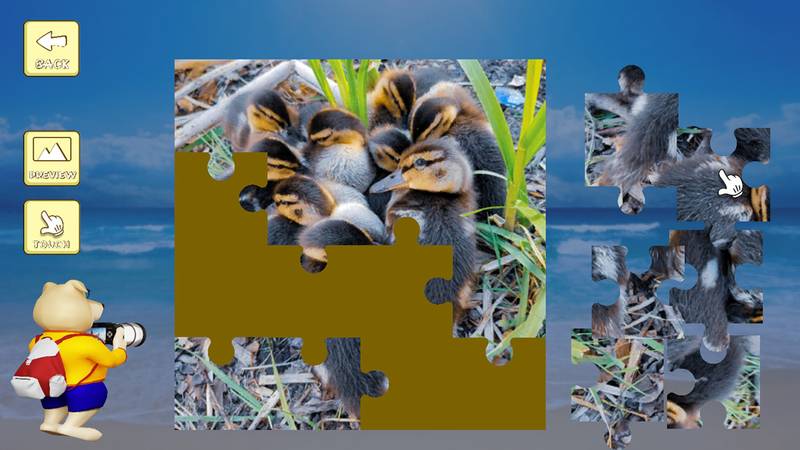 拼图:镜头下的比利时-Jigsaw Puzzle: Belgium Through The Lens 游戏截图