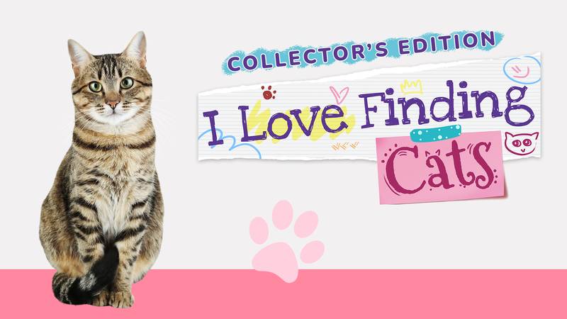 我爱找猫 珍藏版-I Love Finding Cats! – Collector’s Edition