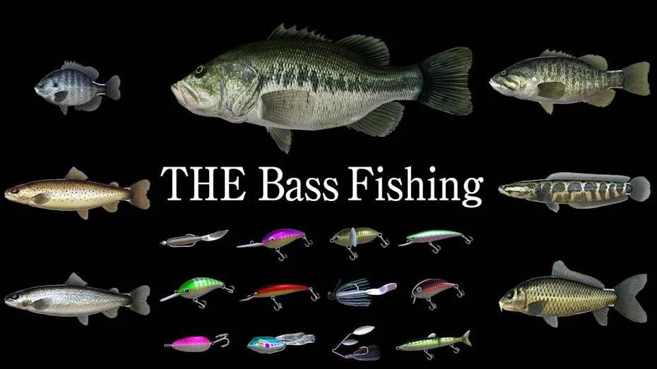 巴斯钓鱼-THE Bass Fishing