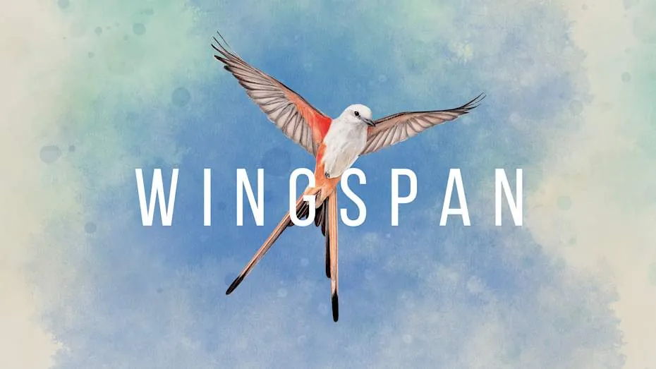 展翅翱翔-Wingspan